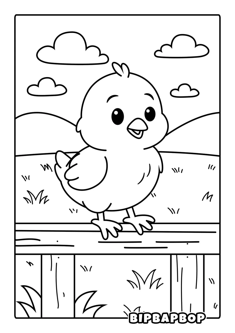 A chick standing on a farm fence