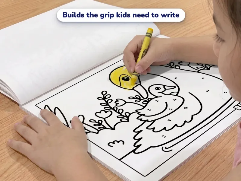 Child with a crayon coloring a picture of a swan and her cygnet