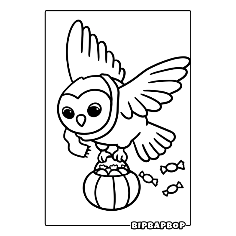 a pirate boy next to a treasure chest with a parrot on it