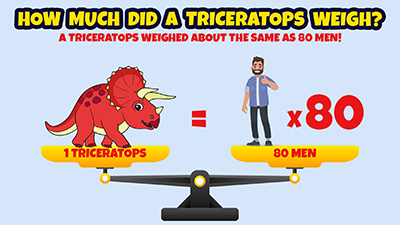 How much did a Triceratops weigh? A Triceratops weighed about the same as 80 men!