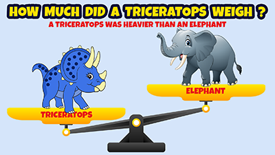 How much did a Triceratops weigh? A Triceratops was heavier than an Elephant!