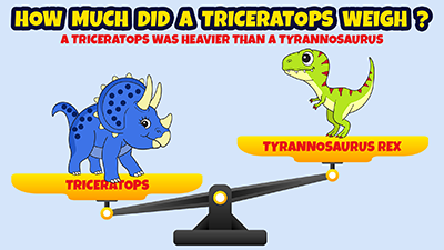 How much did a Triceratops weigh? A Triceratops was heavier than a Tyrannosaurus Rex.