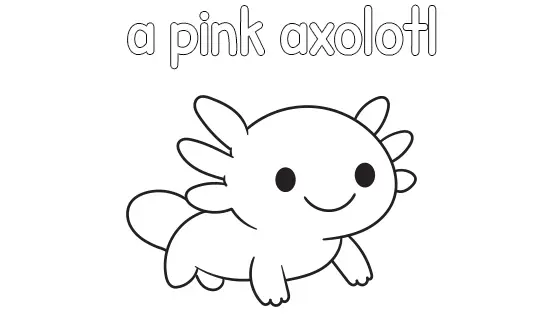 A Pink Axolotl Coloring Page