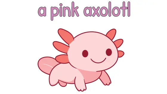 A Pink Axolotl Coloring Page