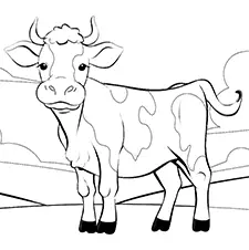 Adult Cow Coloring Page Black & White