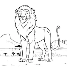 Adult Lion Coloring Page Black & White