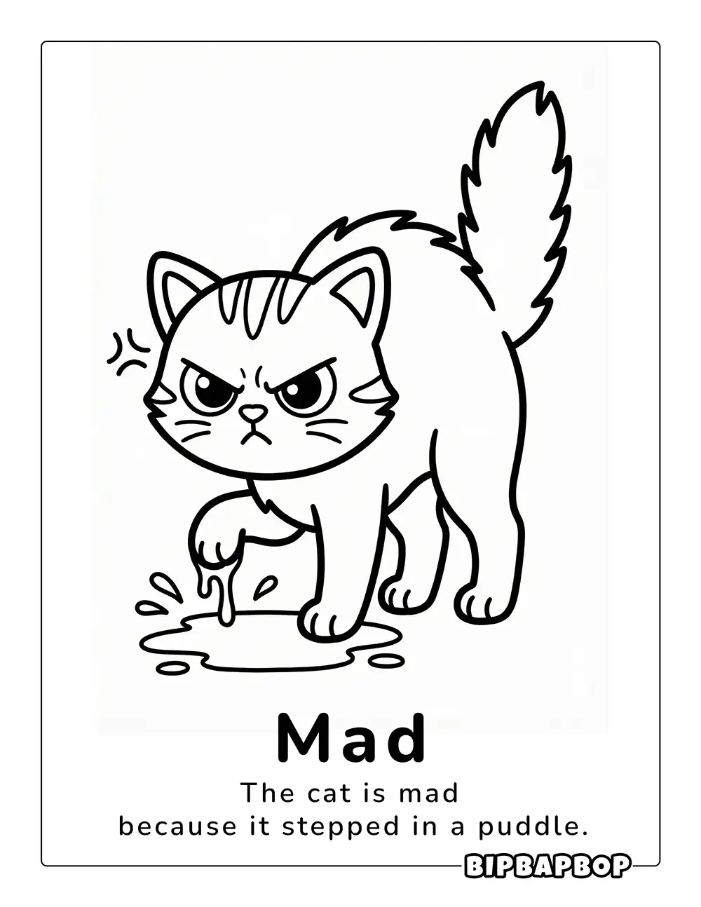 The kitten is angry because it stepped in a dirty pool of water