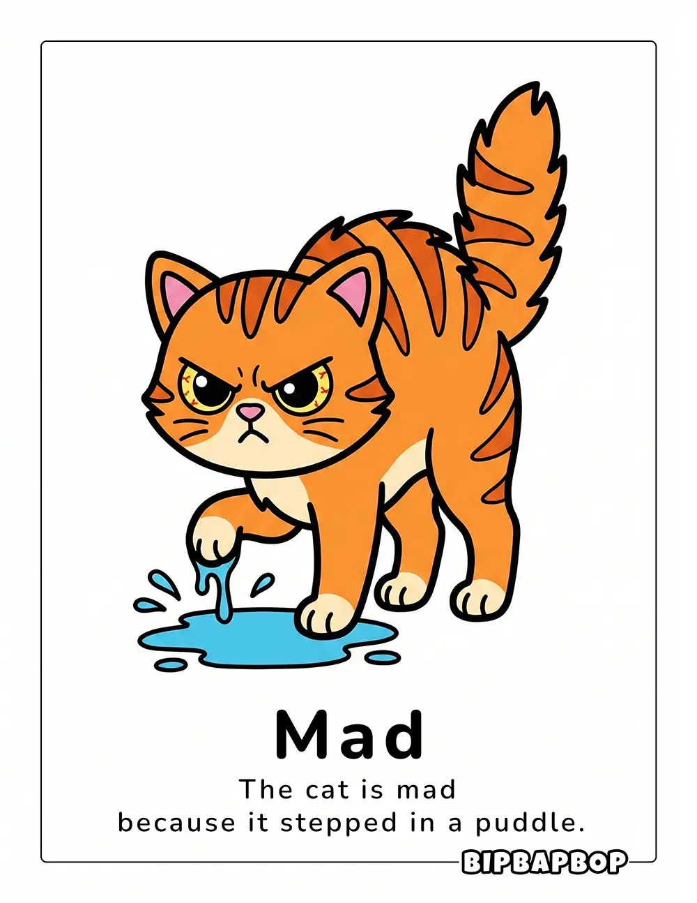 The cat is mad because it stepped in a puddle