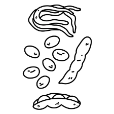 Beans Coloring Page