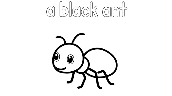A Black Ant Coloring Page