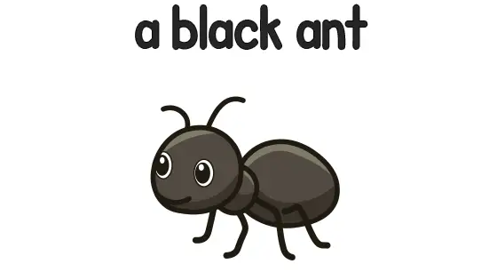 A Black Ant Printable
