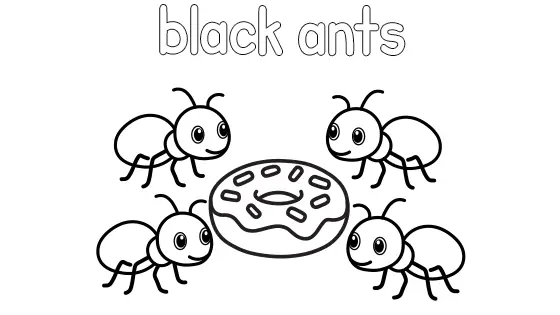 Black Ants Coloring Page