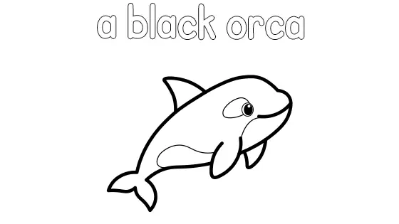 A Black Orca Coloring Page