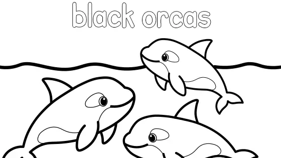 Black Orcas Coloring Page