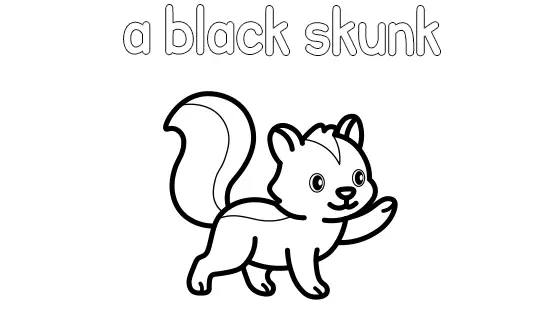 A Black Skunk Coloring Page