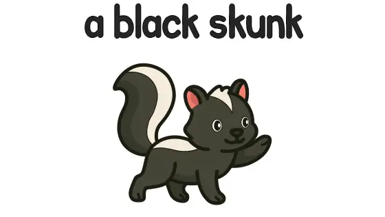 A Black Skunk Printable