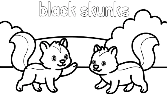 Black Skunks Coloring Page