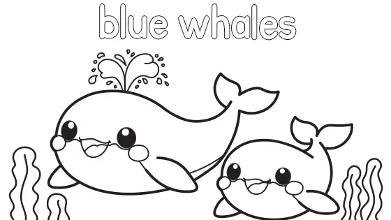 Blue Whales Coloring Page