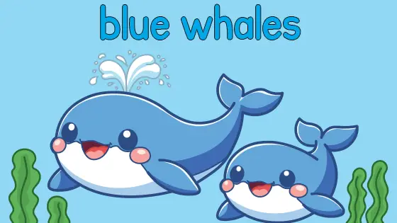 Blue Whales Printable