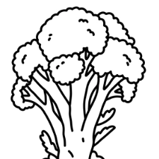 Broccoli Coloring Page