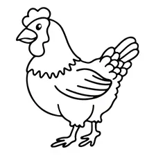 Brown Chicken Coloring Page Black & White
