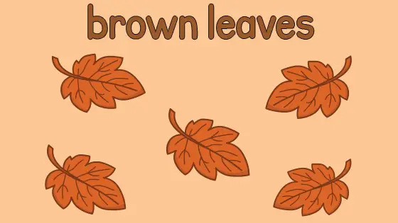 Brown Leaves