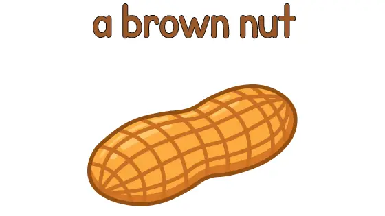 A Brown Nut Printable