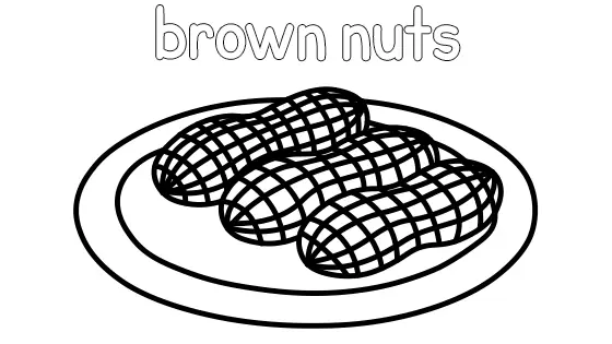 Brown Nuts Coloring Page