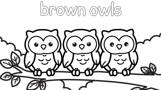 Brown Owls Coloring Page