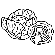 Cabbage Coloring Page