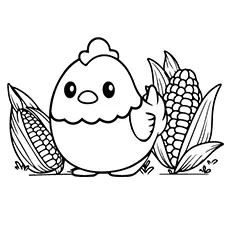Chicken With Corn Cob Coloring Page Black & White
