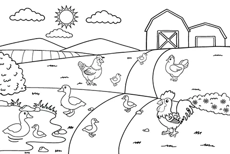 Chicken and Duck Coloring Page Black & White