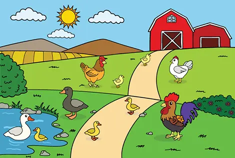 Chicken and Duck Coloring Page