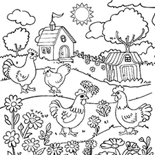 Chickens In A Garden Coloring Page Black & White
