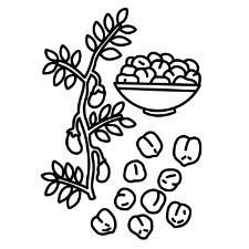 Chickpeas Coloring Page