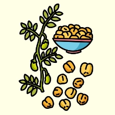 Chickpeas Coloring Page