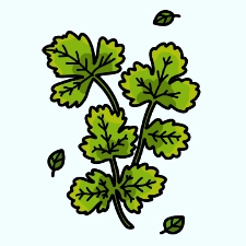 Cilantro Coloring Page