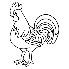 Colorful Chicken Coloring Page Black & White
