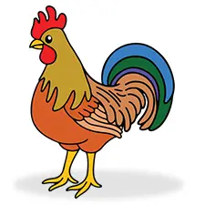 Colorful Chicken Coloring Page