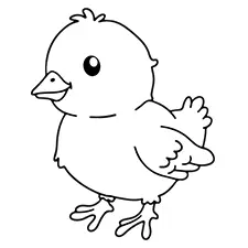 Cute Chick Coloring Page Black & White