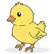 Cute Chick Coloring Page
