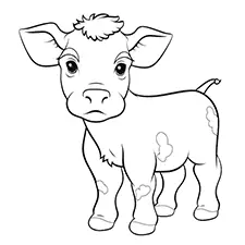 Cute Baby Cow Coloring Page Black & White