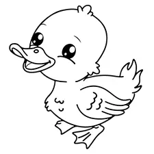Cute Baby Duck Coloring Page Black & White