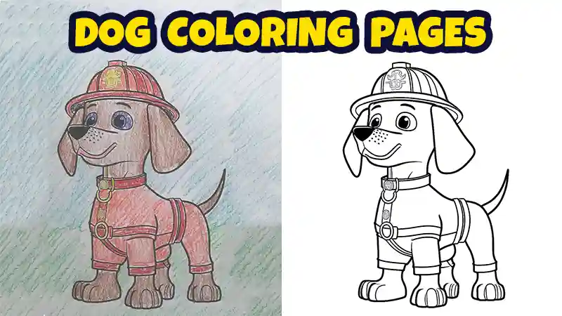dog coloring sheets