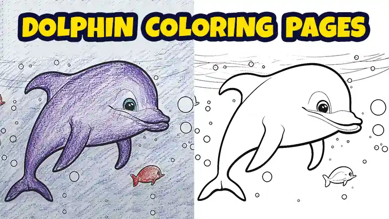 dolphin coloring sheets
