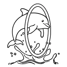 Dolphin Jumping Through A Hoop Coloring Page Black & White