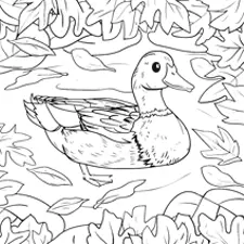 Duck In Water With Autumn Leaves Coloring Page Black & White