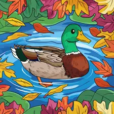 Duck In Water With Autumn Leaves Coloring Page Color