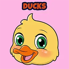 Duck Colouring Pages
