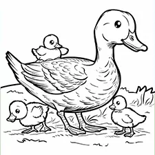 Duck Family Coloring Page Black & White